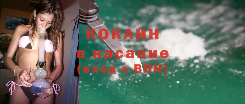 Cocaine FishScale  продажа наркотиков  Новодвинск 