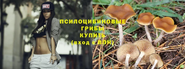 PSILOCYBIN Богородск